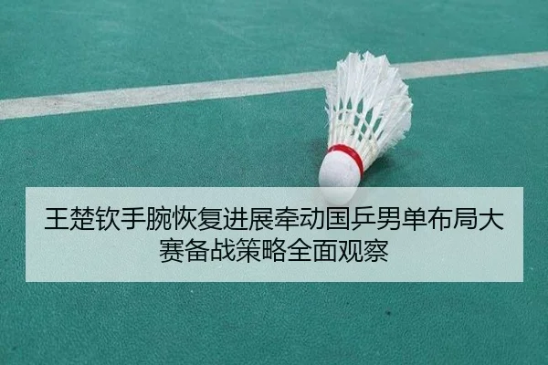 王楚钦手腕恢复进展牵动国乒男单布局大赛备战策略全面观察
