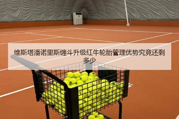 维斯塔潘诺里斯缠斗升级红牛轮胎管理优势究竟还剩多少
